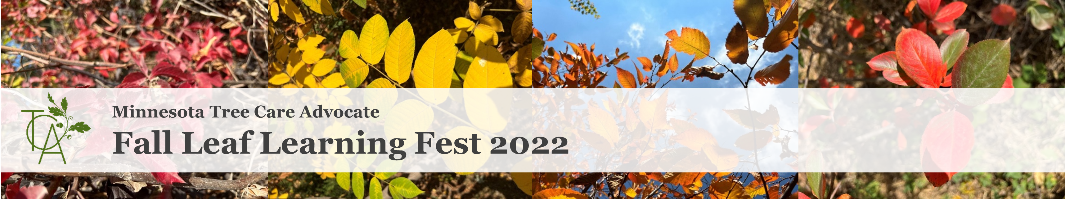 Fall Leaf Learning Fest 2022